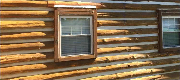 Log Home Whole Log Replacement  Charleston County,  South Carolina