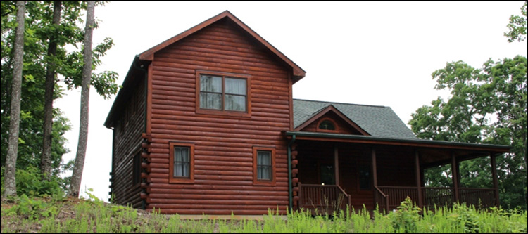 Professional Log Home Borate Application  Charleston County,  South Carolina